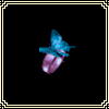 []ָ𺳽٣˭ɵ֮